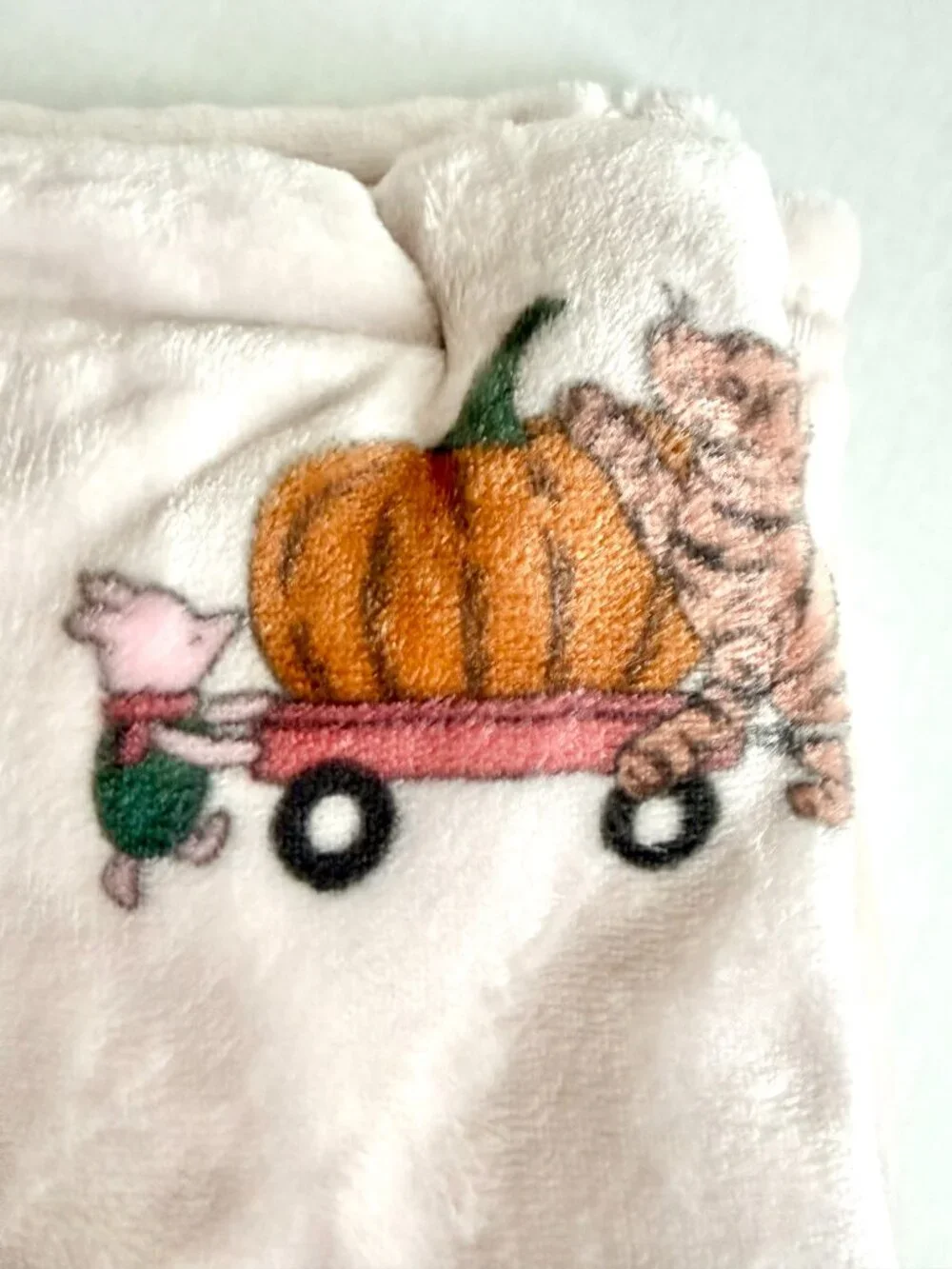 NEW Pooh Bear Collection Winnie The Pooh Baby Blanket Fall Pumpkin 30